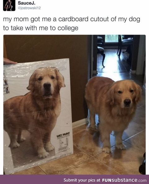 I should’ve done this
