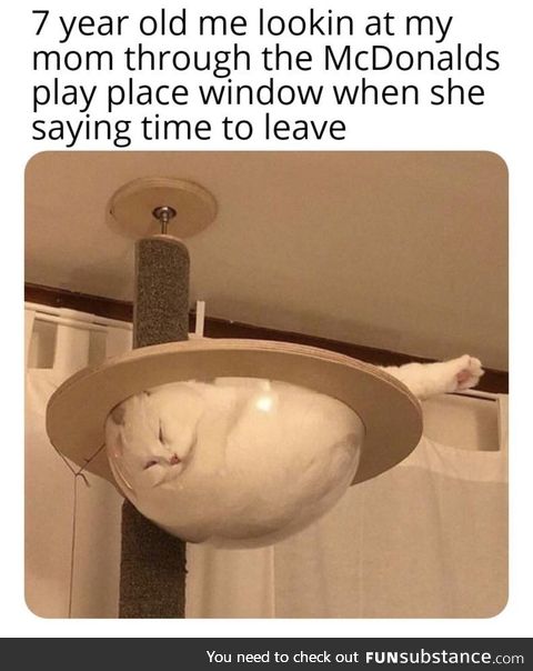 I’m worried about the cat. How is he getting the air?