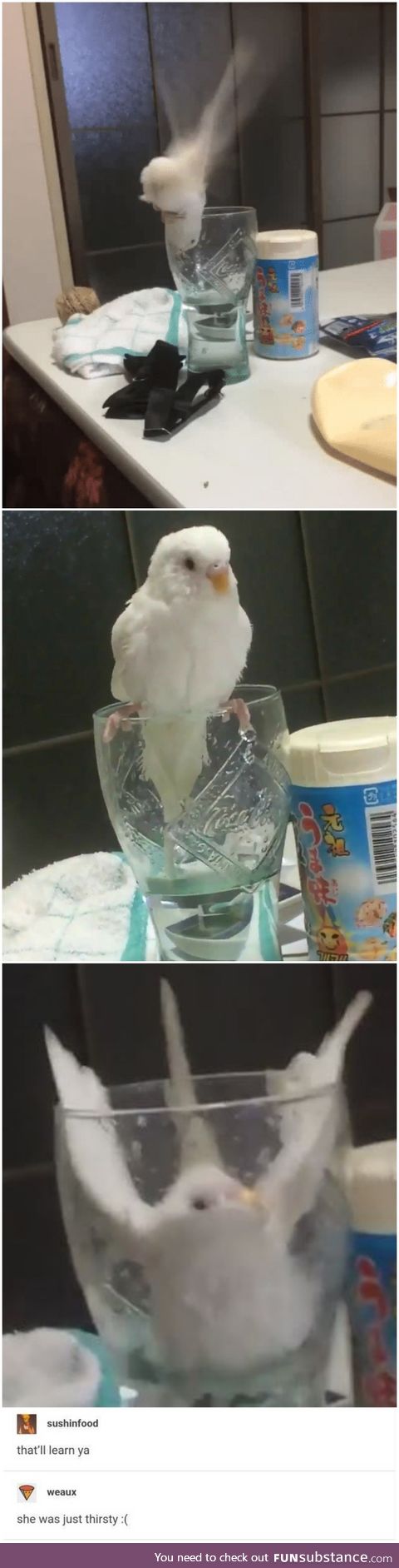 That'll Learn Ya
