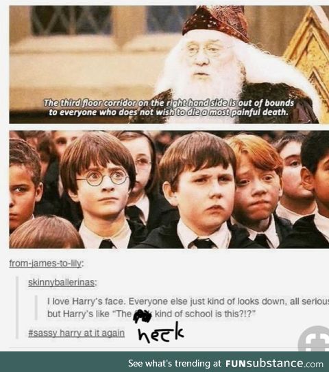 look out Harry