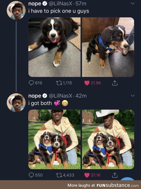 I've got the doggos in the back