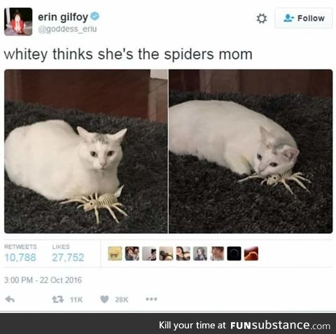 What a cute family