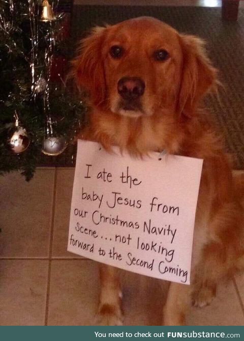Not looking forward to a second coming
