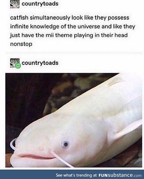 GOD
