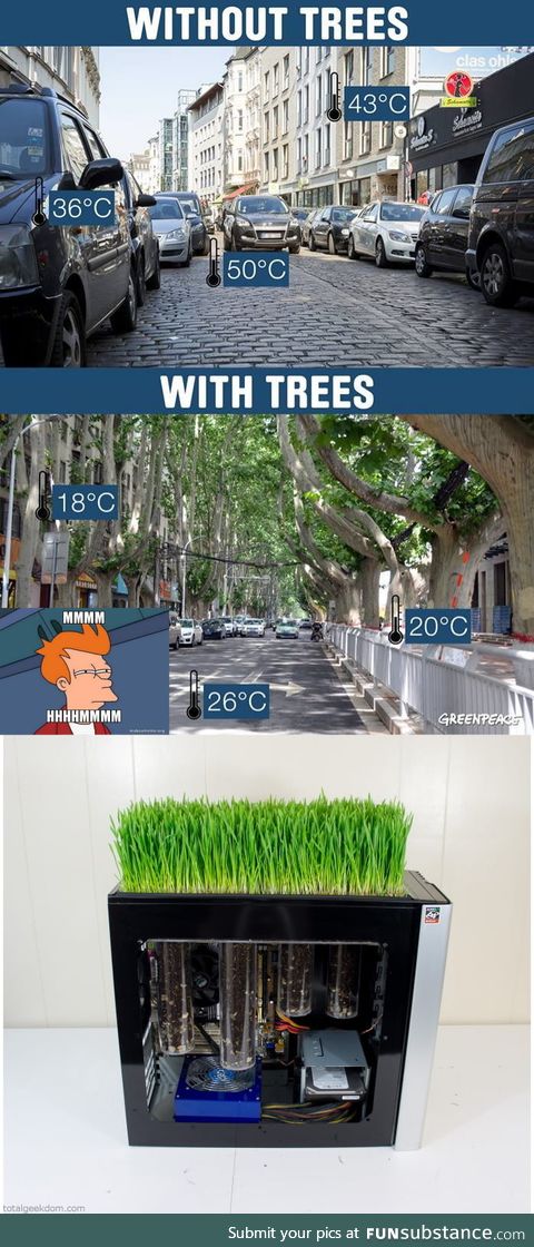 The benefits of Trees