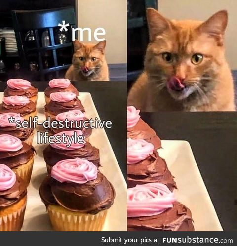 My body is prepared