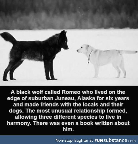 That's sweet