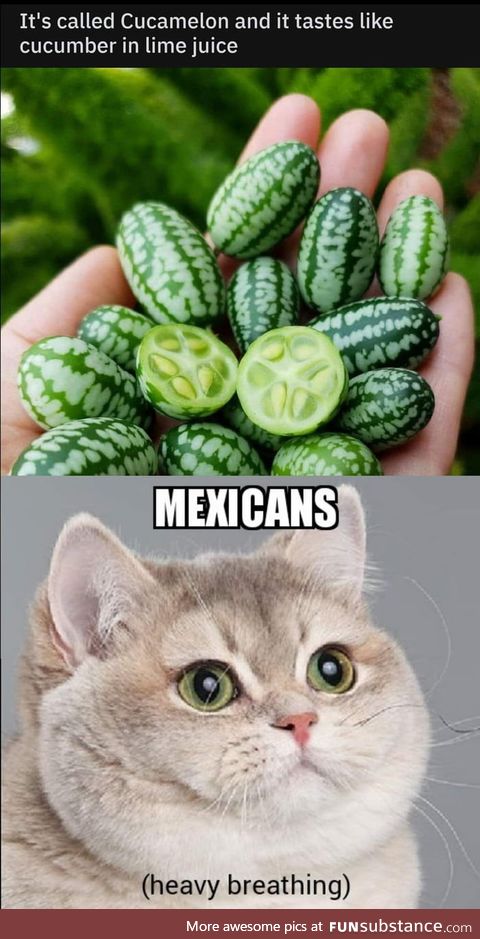 With sum chili