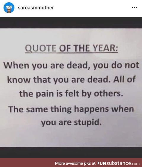 Dead and stupid can be pretty similar