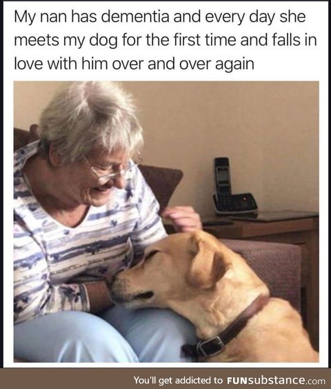 A human to greet a dog the way a dog greets a human