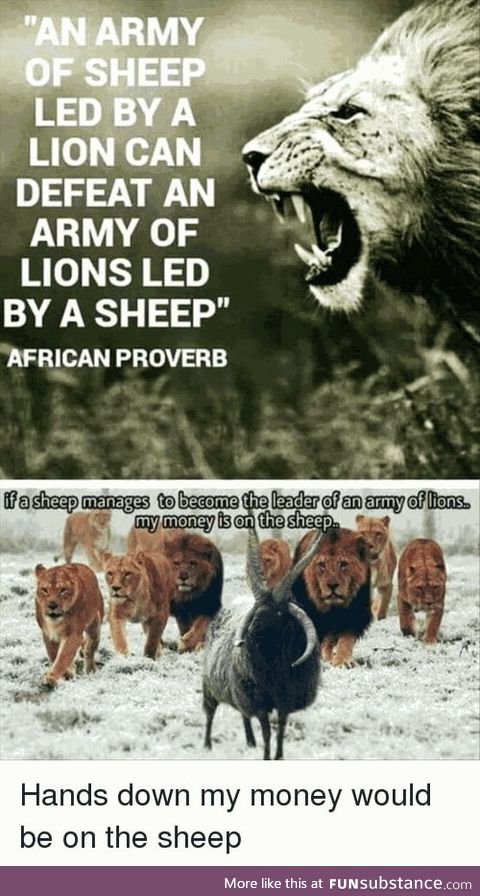 1 sheep+99lion vs 1 lion+99 sheep, which side will win?