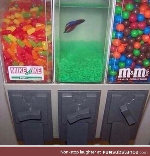 Banned fish tank