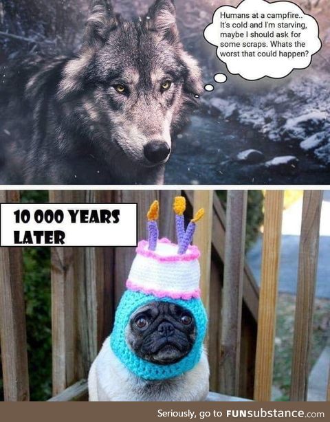 Shouldn't have done that