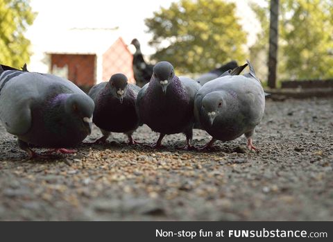 Me and the boys getting some snacks