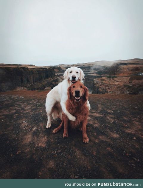 Cuties