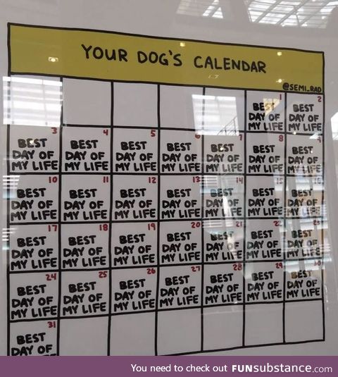 A doggo's life for me