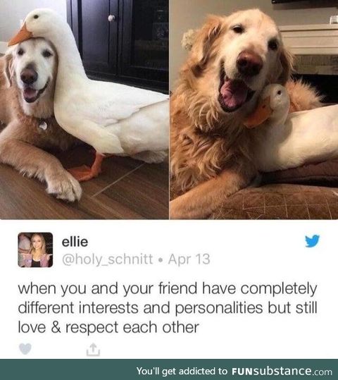 Love and respect dear friends.