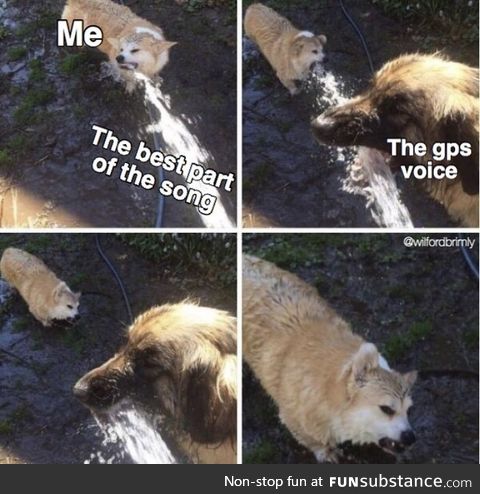 Hate this