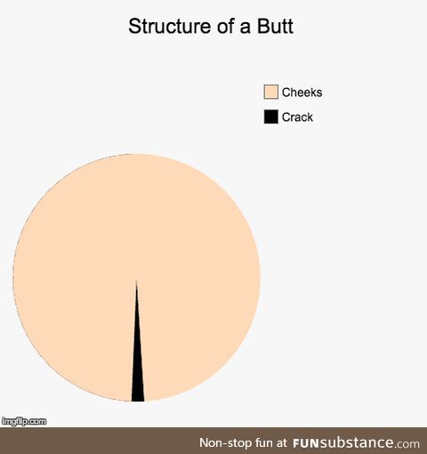 Probably the most accurate pie chart I’ve seen