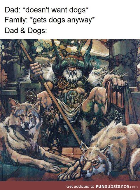 Dad & Dogs