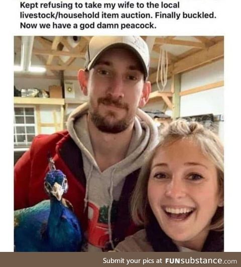 Peacock auction
