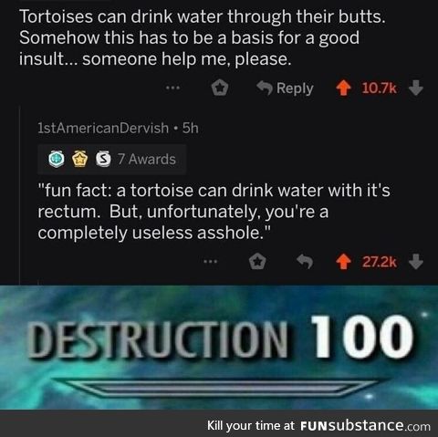 Insult 101