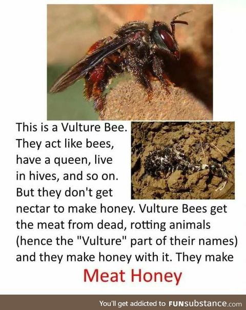 For your information
