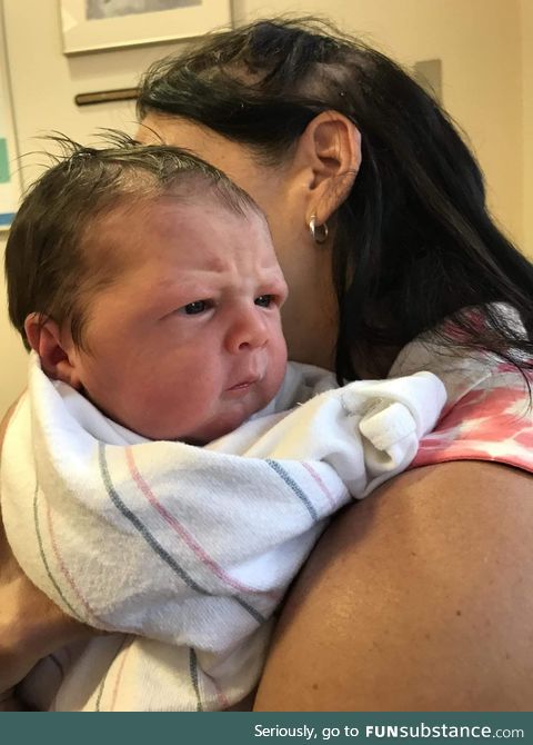 This baby has perfected the "are they using my driveway to turn around??" look