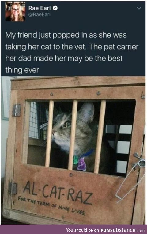 Purrpetrator