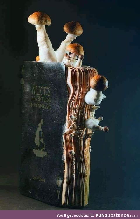 A water damaged copy of "Alice in Wonderland" which grew fungi