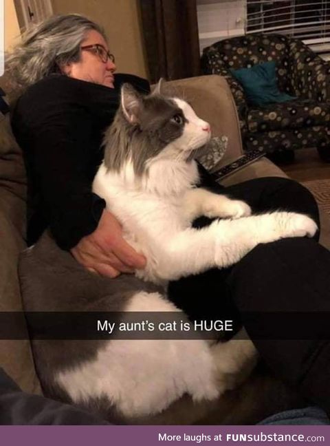 Chonk boi