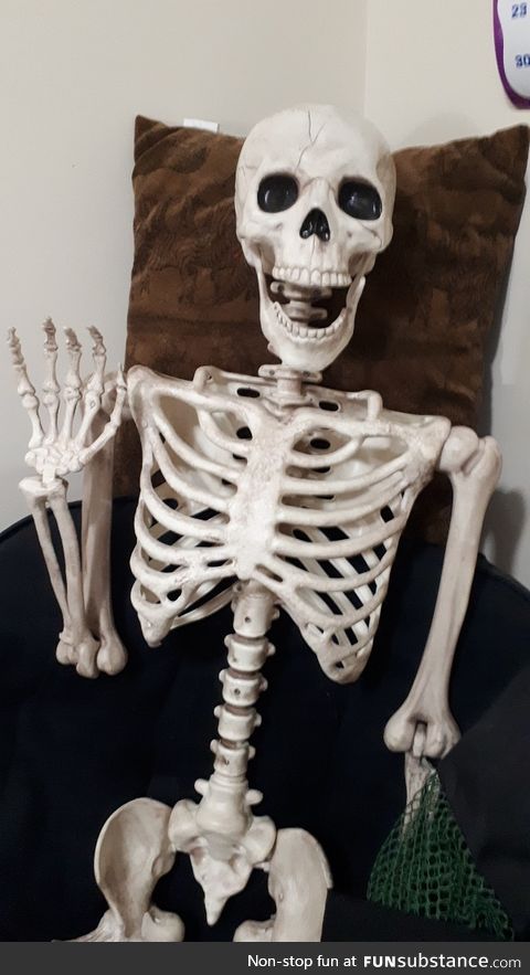 Here is my pet Skeleton, Eddy