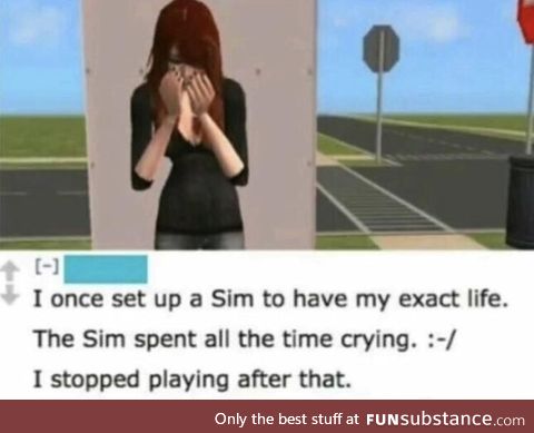 er plays sims