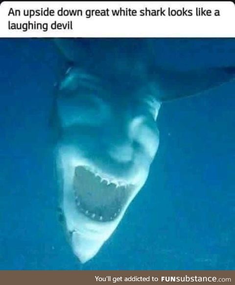 Look Who’s Laughing Now !