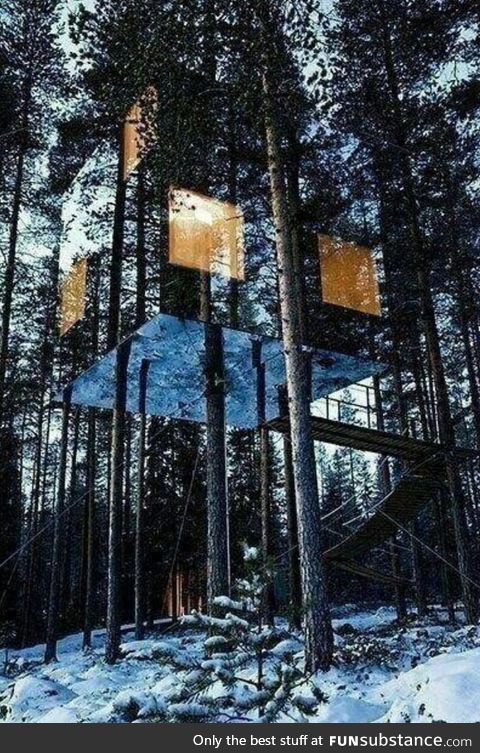 A treehouse in Sweden camouflaged with mirrors