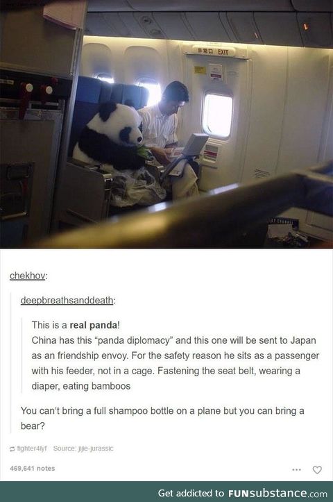 Brb, ordering a panda