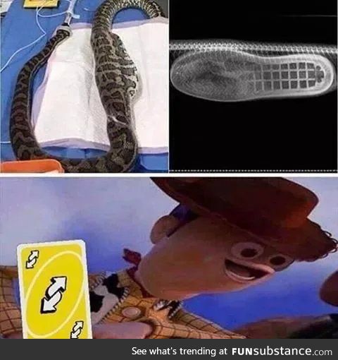 There's a boot in my snake!!