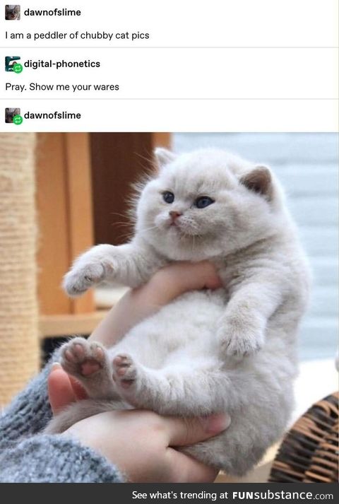 Chonky