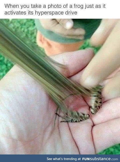 Punch it !