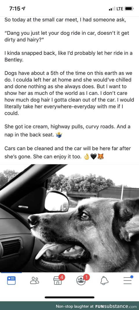 Dogs in cars getting coffee