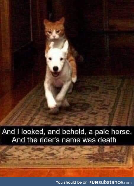Destroyer of Worlds