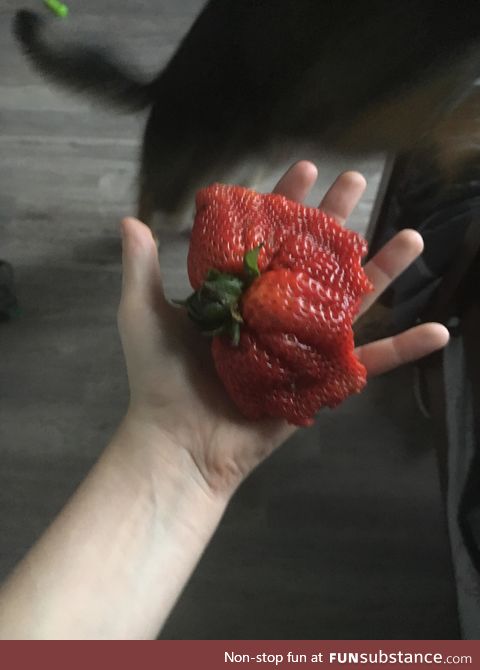 Strawbomination