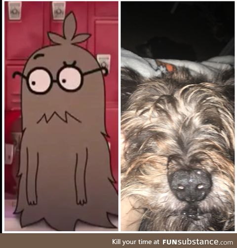 Is it just me or does my dog look like Mr Brown from Amazing World of Gumball?
