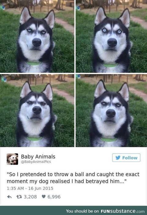 Not my image but I found this really cute