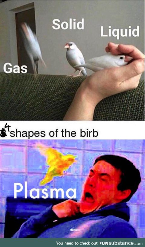 BIRB OF DOOM