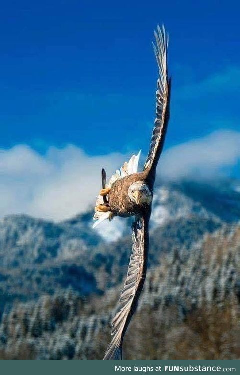 Extreme Crosswinds!
