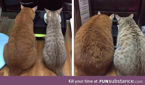 First date vs two years into relationship