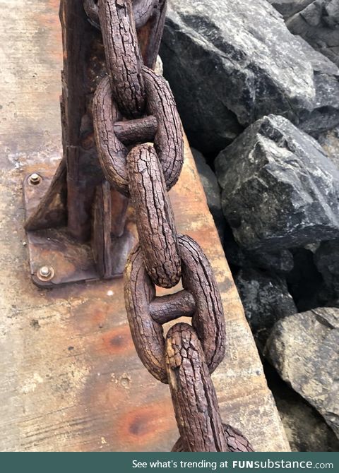 This chain is so old and rusted it looks like wood