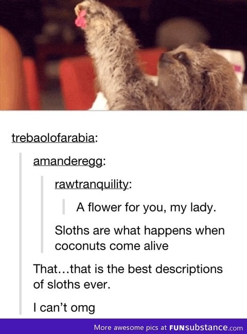 Definition of Sloths