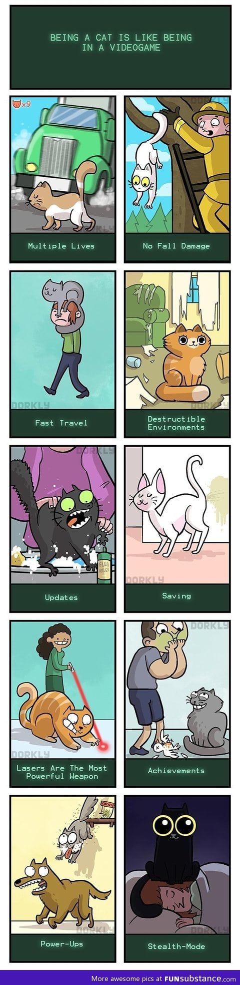 Cats and videoames